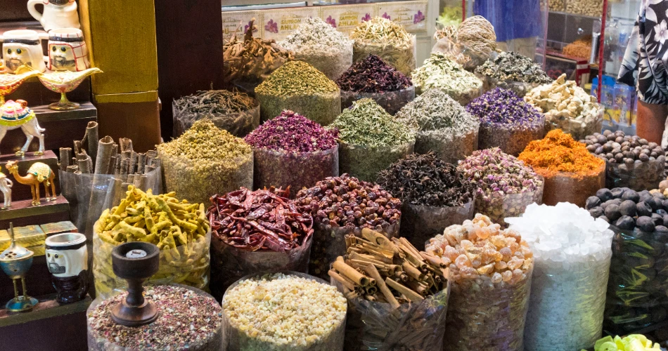 10 Things to Do in Dubai on a Small Budget