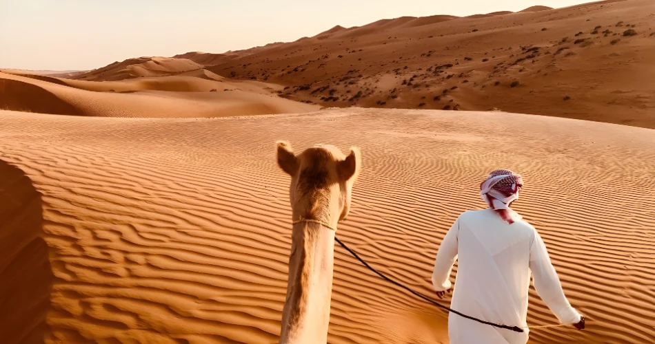 Dubai vs. Abu Dhabi: Which UAE City Should You Visit?
