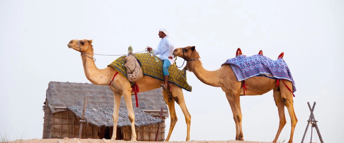 Enjoy a Desert Safari in Dubai at a Bedouin Camp